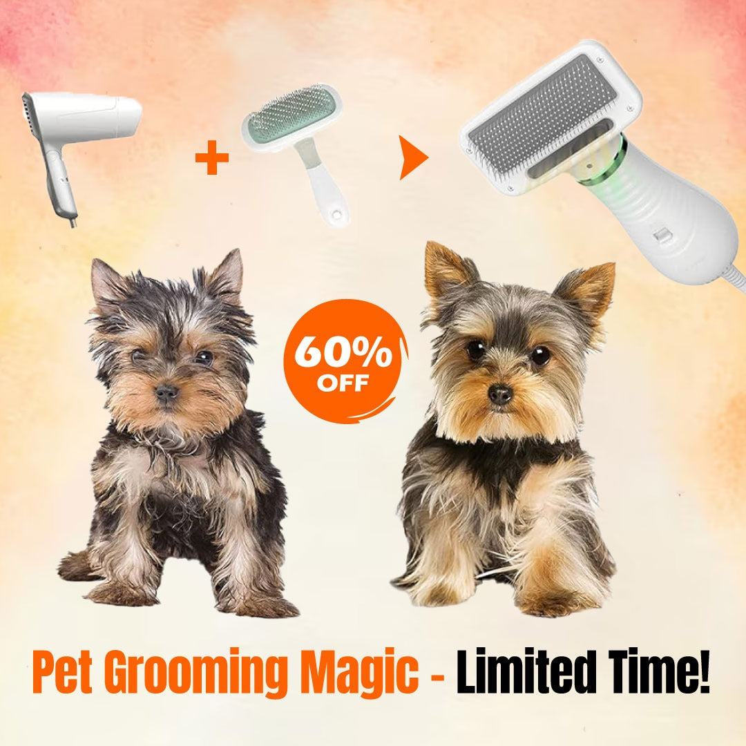 2-in-1 Pet Hair Dryer & Brush | 60% OFF